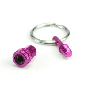 Valve Adaptor (SV/DV-AV) with Key Ring (Pink)